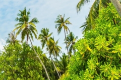 WhatsApp-Image-2026-01-28-at-10.50.00-PM