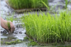 WhatsApp-Image-2026-01-28-at-10.50.01-PM1